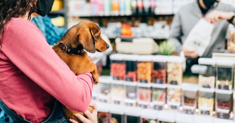 German pet store